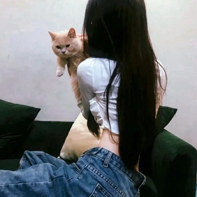 风起云舒